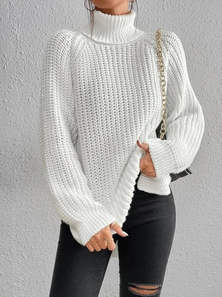 Ribbed Turtleneck Sweater