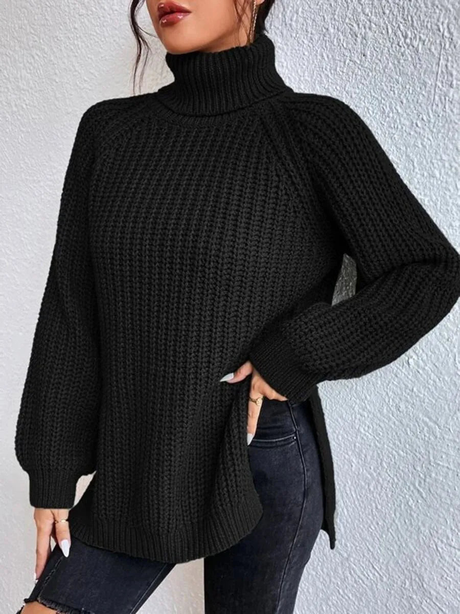 Ribbed Turtleneck Sweater