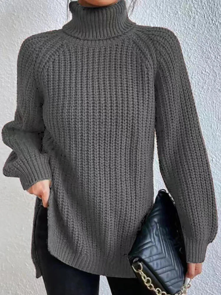 Ribbed Turtleneck Sweater