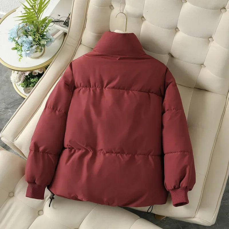 Jacket with Stand Collar for Women | Abigail