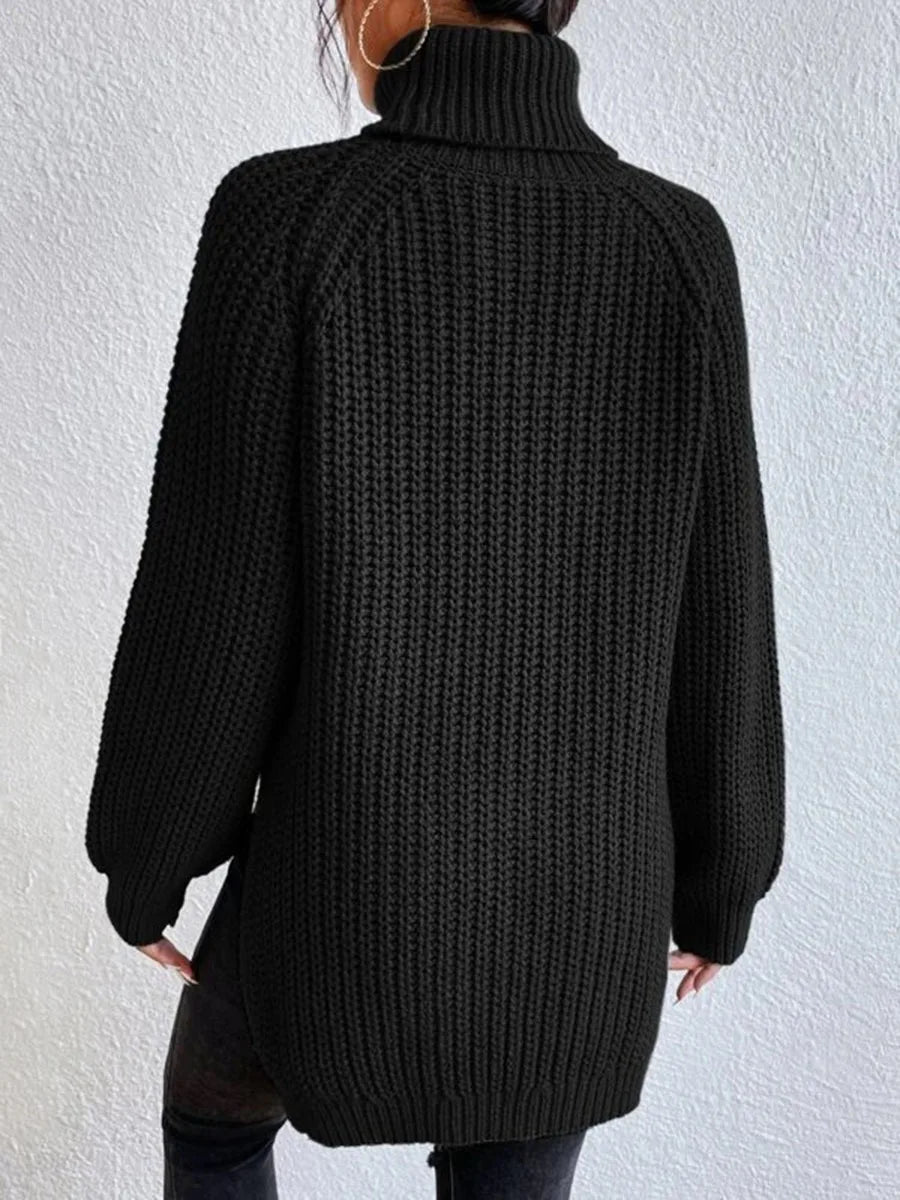 Ribbed Turtleneck Sweater