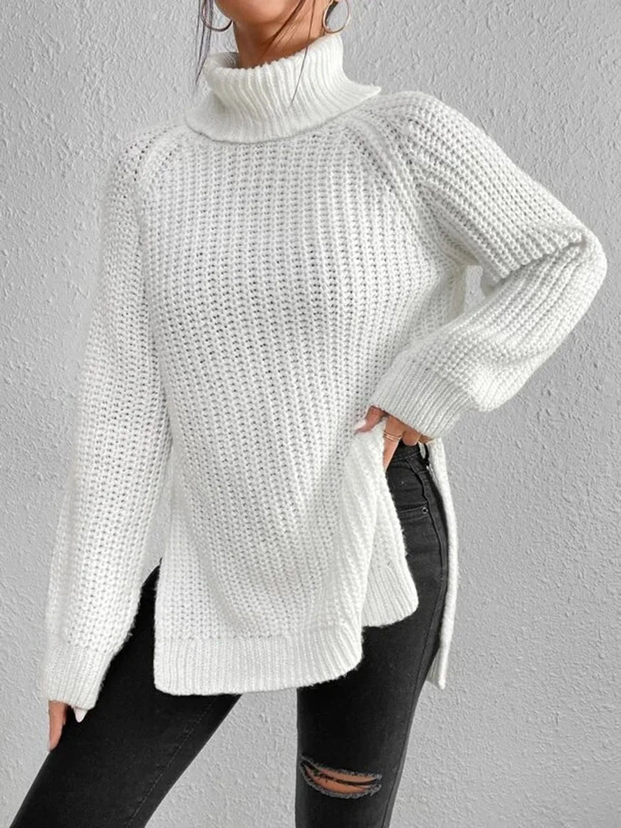 Ribbed Turtleneck Sweater