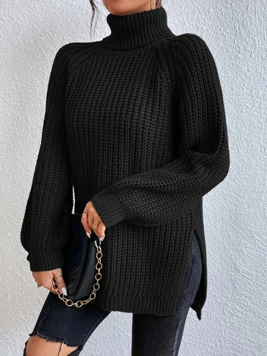 Ribbed Turtleneck Sweater