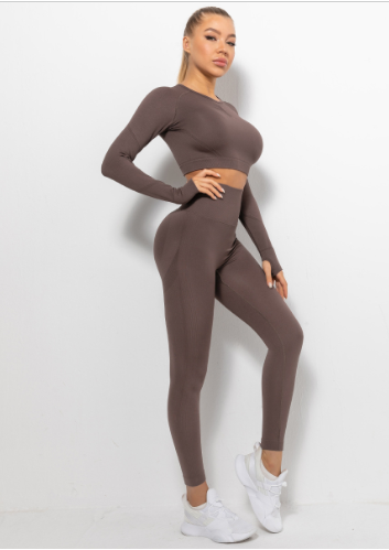 High Waist Sports Leggings and Long Sleeve Crop top | Two Piece Set | Agunia